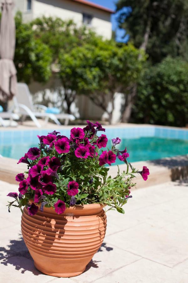Sunny Rhodes Villa Koskinou  Exterior foto